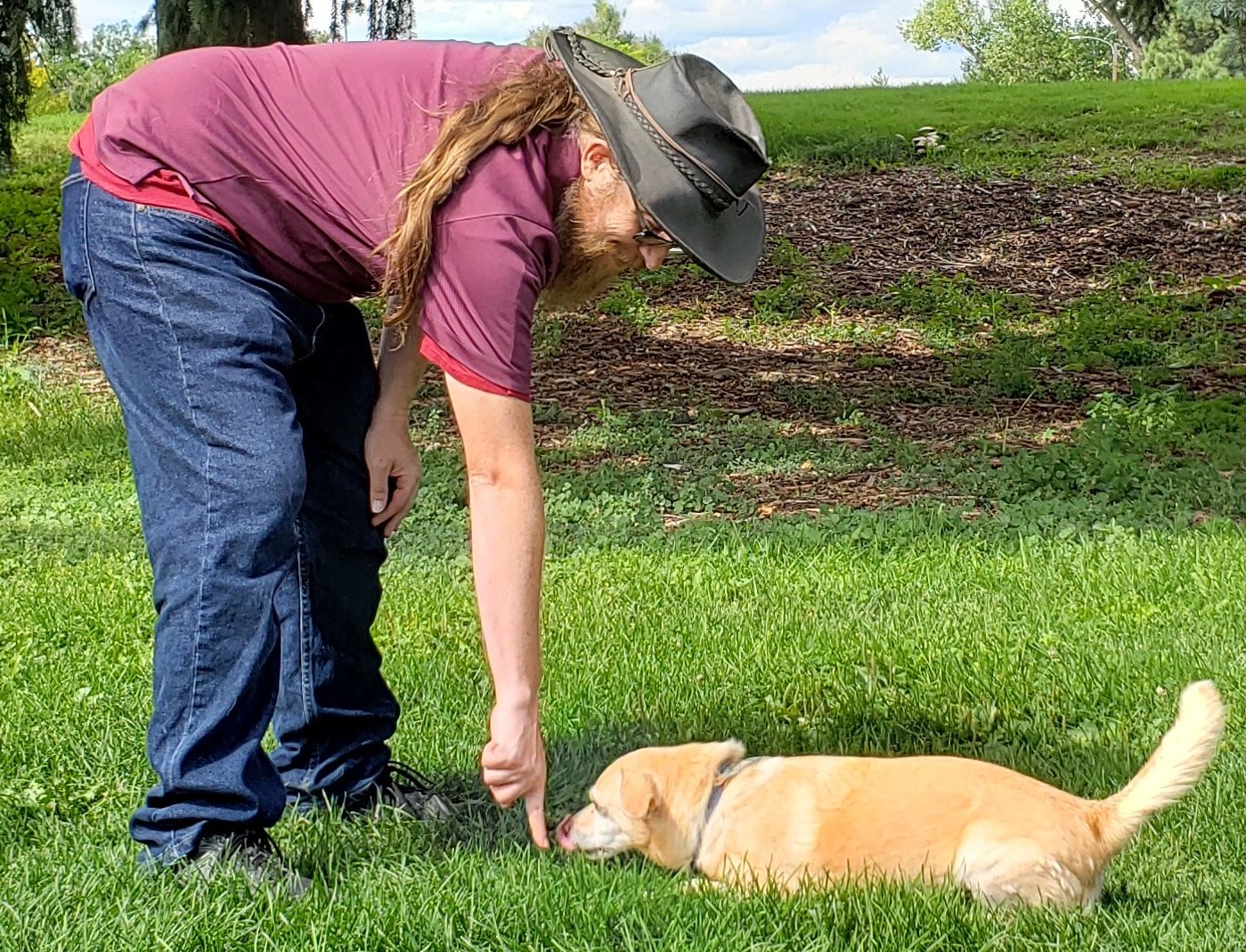 Photo of Kenny teaching a dog to lie down on command